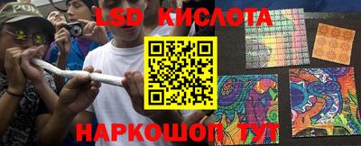 шишки Кимры