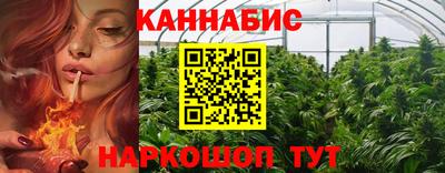 шишки Кимры