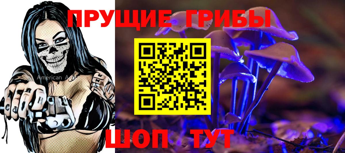 Псилоцибиновые грибы мицелий  Псилоцибиновые грибы Psilocybine cubensis  Коряжма  Вход с VPN 